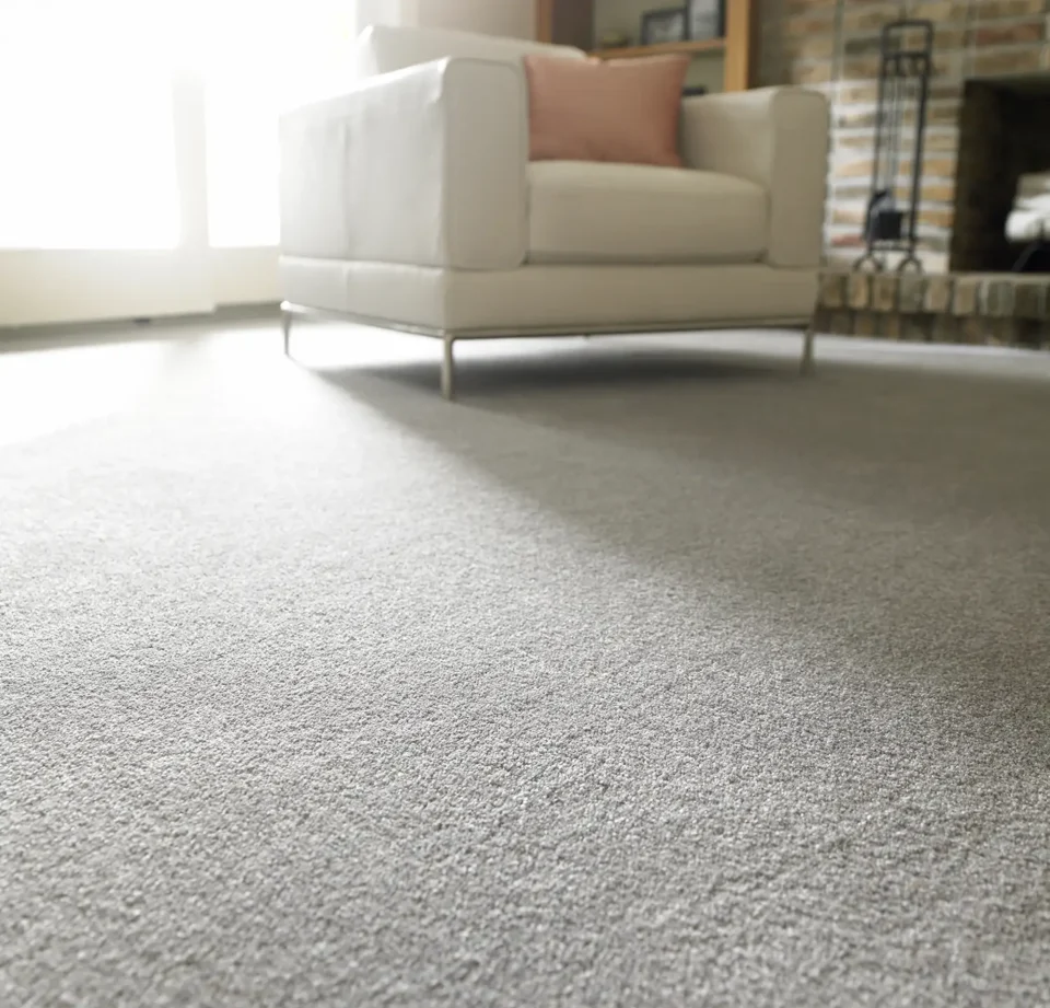 home interior with carpet flooring